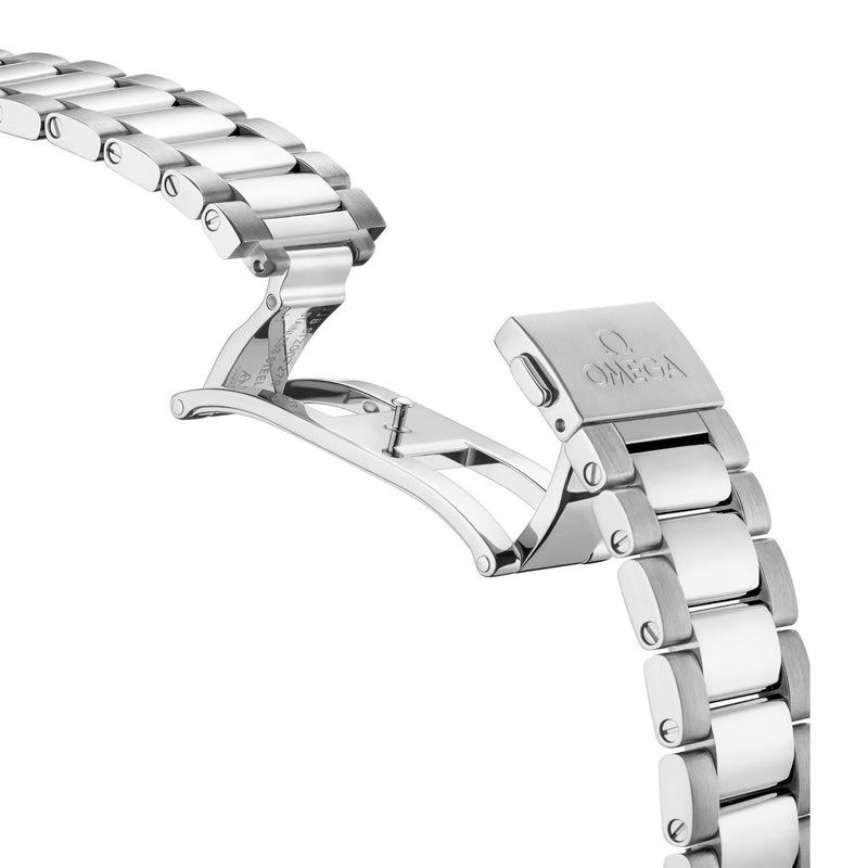 Omega Seamaster | Aqua Terra | 220.10.41.21.06.001