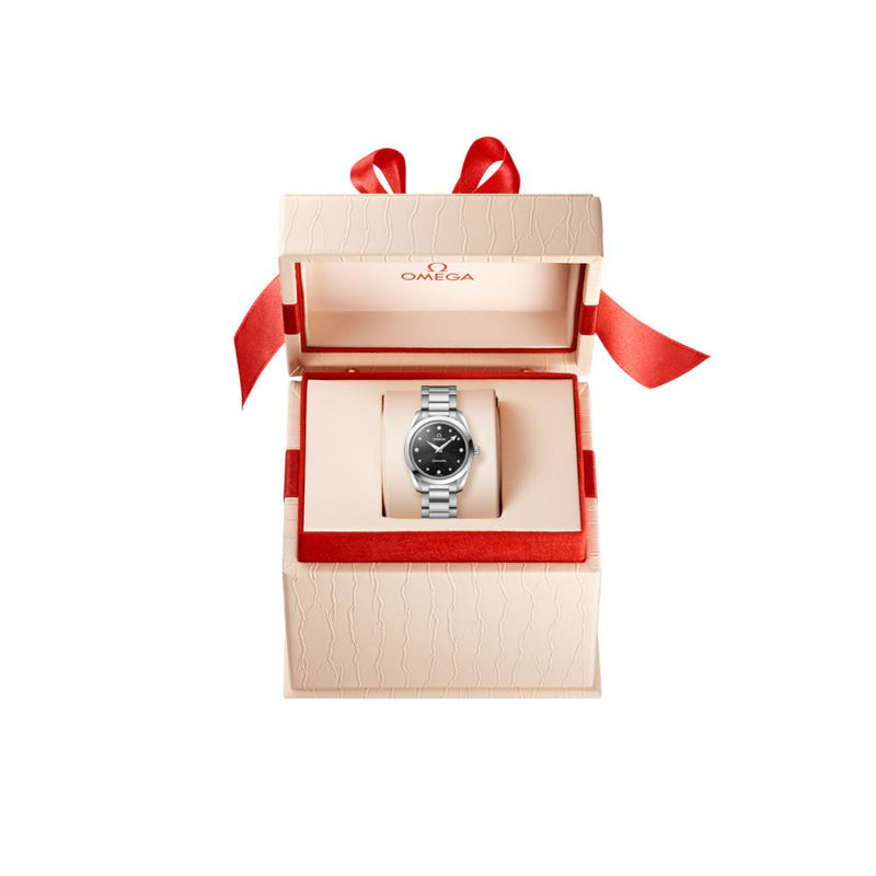 Omega Seamaster | Aqua Terra | 220.10.28.60.51.001