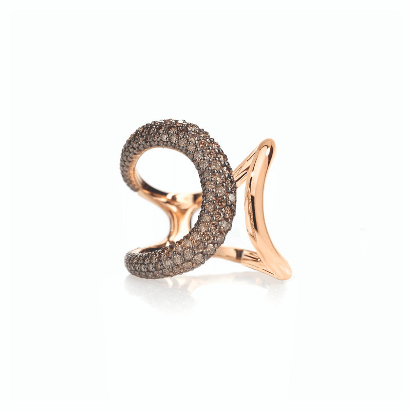 1909 Callegari Ring Connection | UJ327