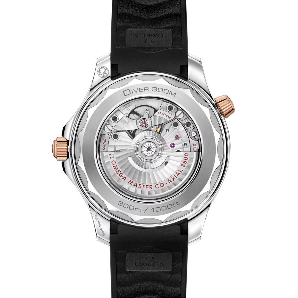 Omega Seamaster | Diver | 210.22.42.20.01.002