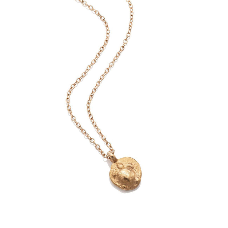 TWENTYTEN Collier Schildkröte | 11830