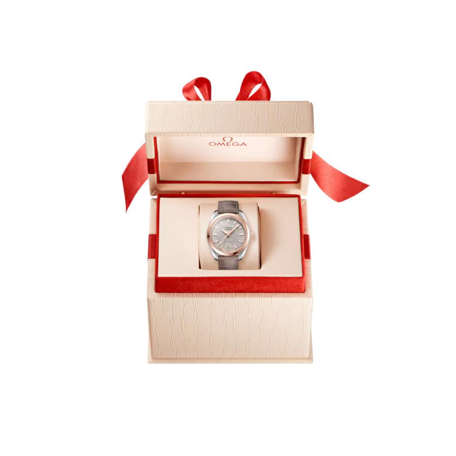 Omega Seamaster | Aqua Terra | 220.23.38.20.06.001
