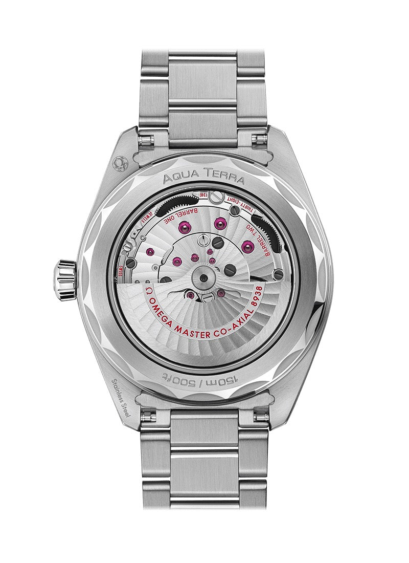Omega Aqua Terra O220.10.43.22.03.001