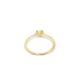 Nanis Ring Dancing Tourmalines, Gelbgold, AS9-598