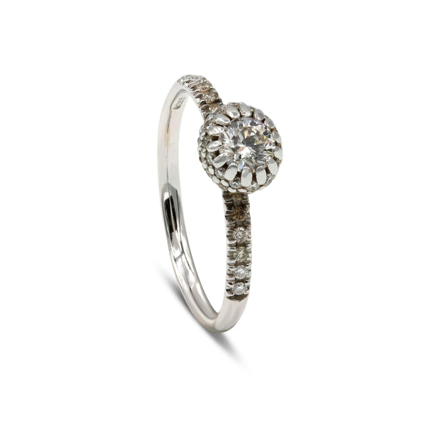 Nanis Ring Élite, Weißgold, AS4-581